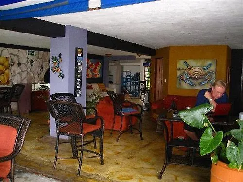**** Hotel Blue Angel Resort Cozumel Mexico